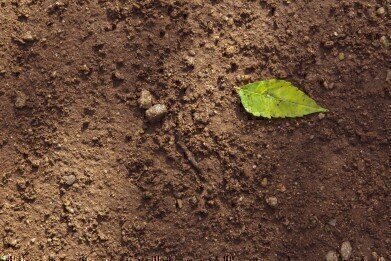 5 Incredible Ways to Clean Soil
