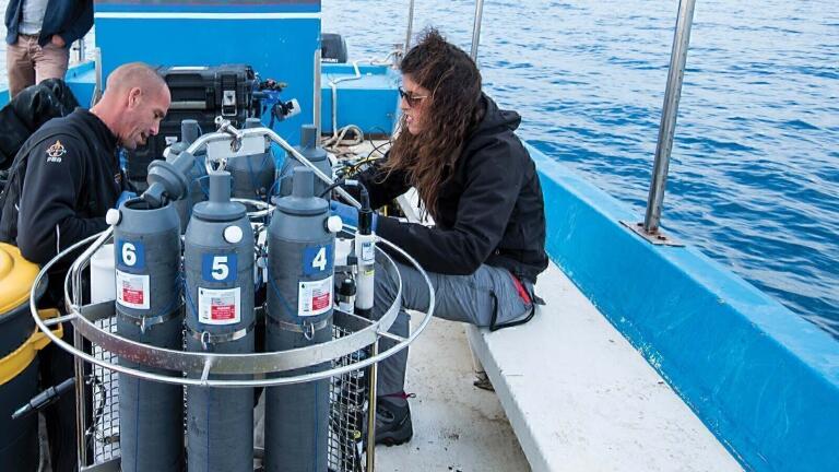 Researchers Investigate Ultra-low Mediterranean Nutrient Levels