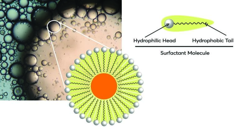 Supported Liquid Extraction versus Liquid-Liquid Extraction: Extracting Acidic, Basic and Neutral Analytes from Plasma