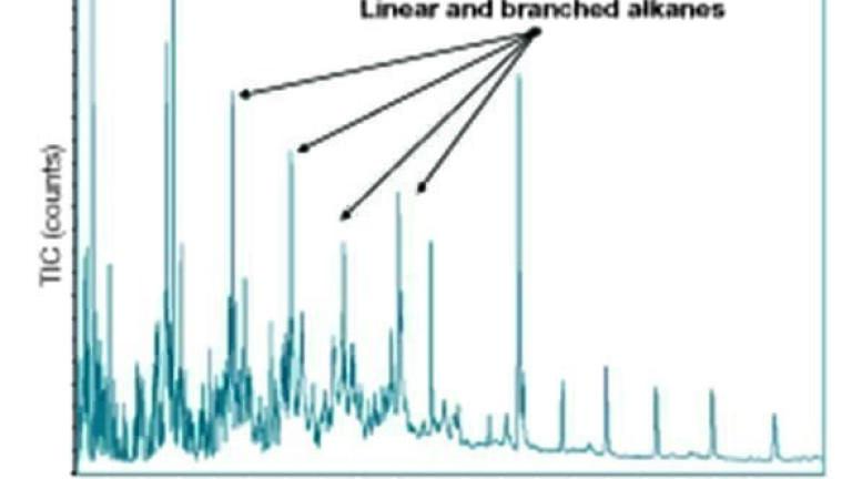 Robust analysis of PAHs and PCBs in soil with over 500 repeat injections using Orbitrap Exploris GC