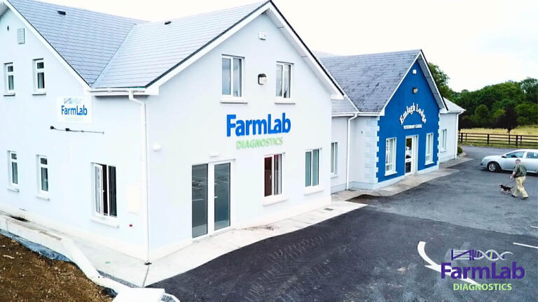 Accurate Testing keeps Farm Animals Healthy