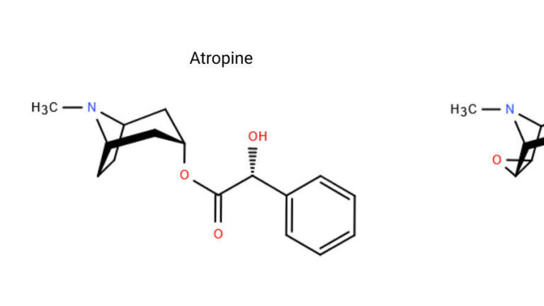Are Your Herbal Teas Safe? Tropane Alkaloid Analysis Using SPE Combined With LC-MS/MS