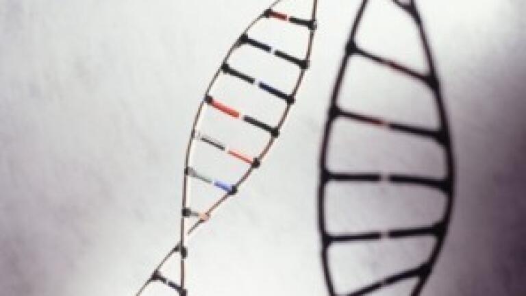 Application of ChromSword Software for Automatic HPLC Method Development and Robustness Studies. Separation of Terbinafine and Impurities