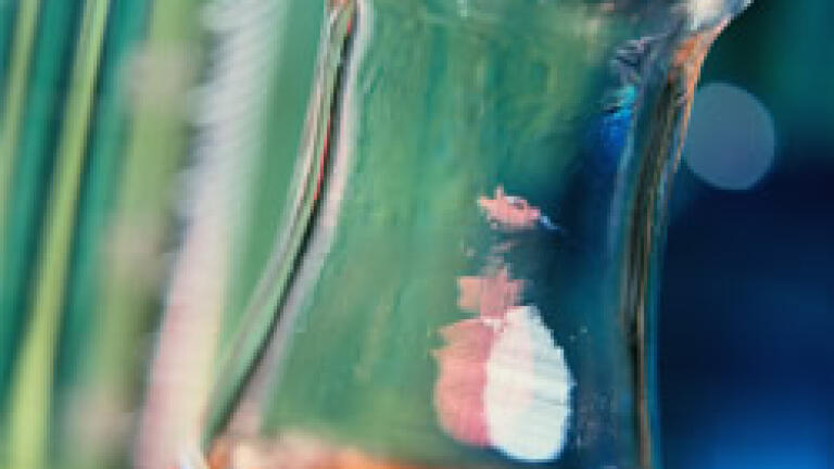 Entering into a Contract to Procure Plastic Ware and Glassware? Have a Price Clause.