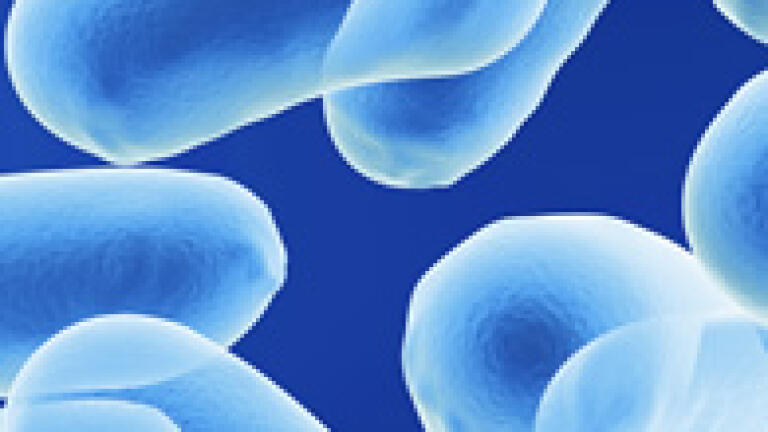 Streamlining QC in Food, Feed and Pharmaceuticals  using Rapid Multispectral Imaging