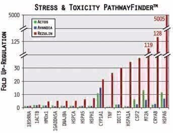 Pathway-Focused Gene Expression Panels Validated for Real-time PCR