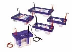 New Range of Electrophoresis Systems