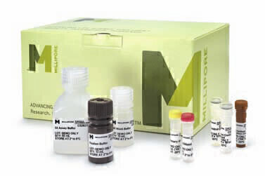 Test Kits for Human Kidney Damage