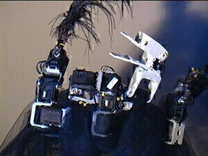 Robotic swan features in Swedish science news