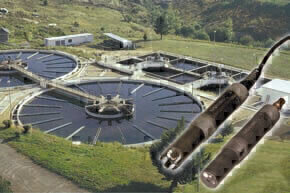 Maintenance-Free pH Sensor for Harsh Environments