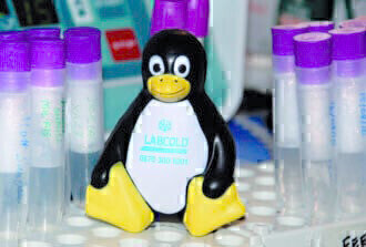 Peak performance in Extreme Conditions