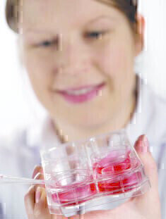 Improve 3-Dimensional Cell Culture with Iwaki Vecell