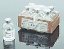 New Artificial Cerebrospinal Fluid