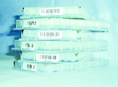 Interactive Online Viewing for Premier Screening Compound Collection