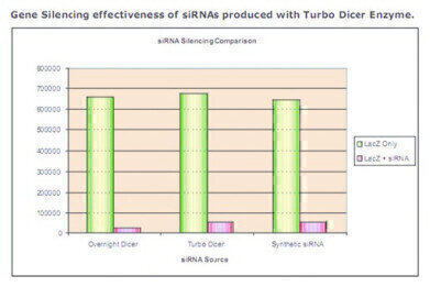 Easy and Economic Generation of Functional siRNAs