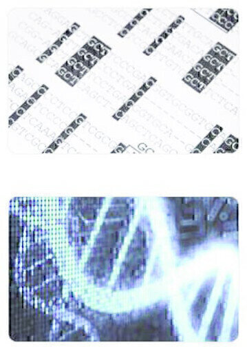 Exploring Genetic Diversity