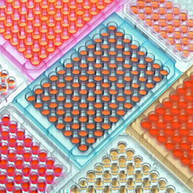 Optimising, Adjusting & Controlling Evaporation Methods