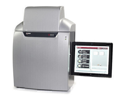 New Image Analysis Systems will Lead the Gel Image Analysis Market