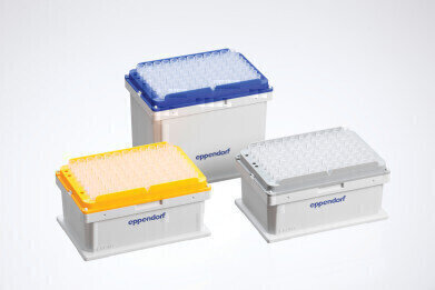 Colour-Coded and Eco-Friendly Trays