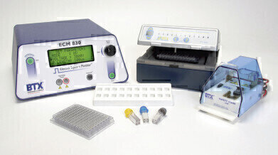 High Content Screening of Neurons