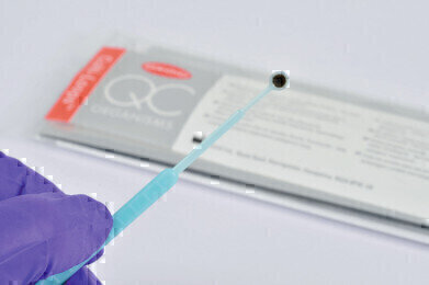 Complete Range of Quality Control Strains