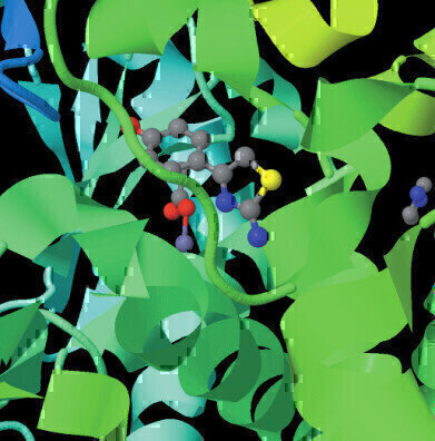 ‘Off the Shelf’ Fragment Library for Time-Efficient Drug Discovery Lead Generation