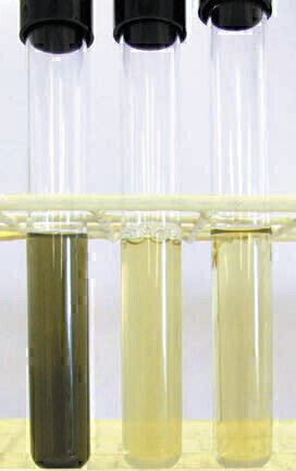 New Modified Giolitti and Cantoni Broth (ISO) Added to Culture Media Range