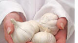 Sierra MFC Proves Benefits of Garlic