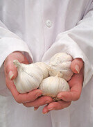 Sierra MFC Proves Benefits of Garlic