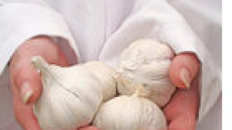 Sierra MFC Proves Benefits of Garlic