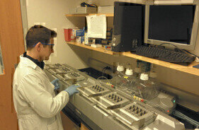 Microarray Solutions Aid Multiple Sclerosis Research