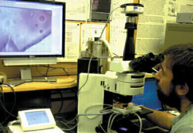 Breaking Ground in Geological Specimen Studies