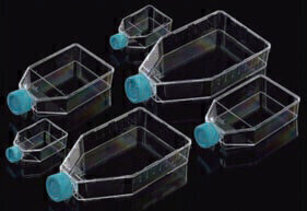Affordable High Quality Cell Culture Flasks