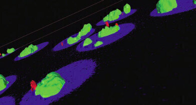 High Performance 3D Cellular Imaging Software Suite