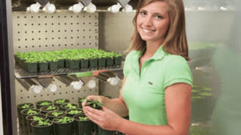 Plant Growth Chamber Series