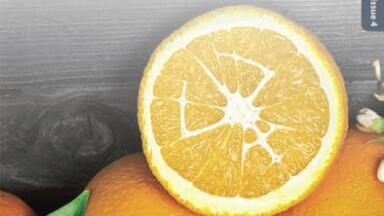 Issue four of Application Notes Handbook Releases