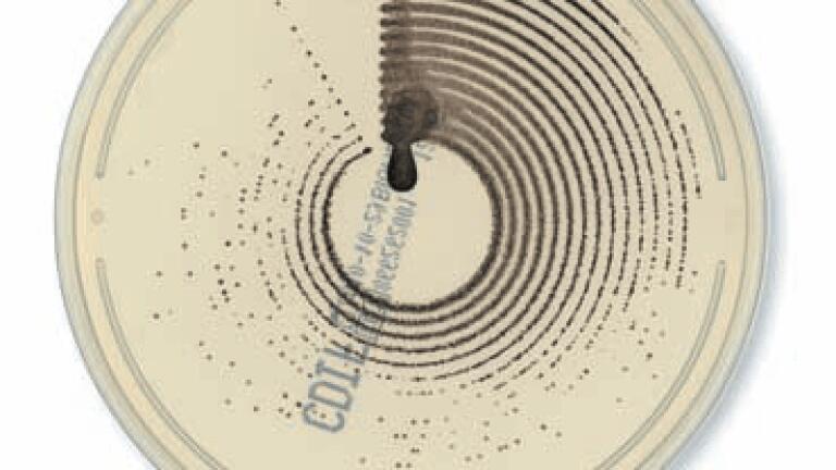 Results in Just 24 Hours with ChromID™ C. Difficile