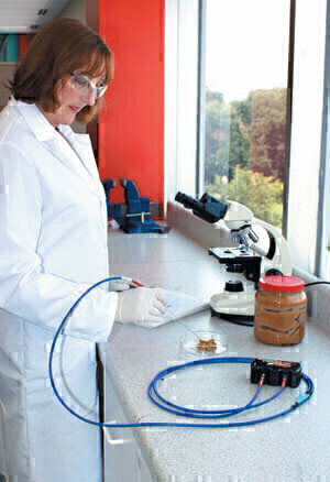 Novel Fibre Optic Chemical Sensors Provide Real-Time Non-Intrusive Monitoring