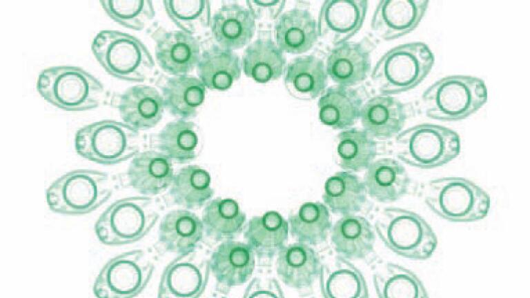 Work on Bioactive Leachates from Plastic Consumables Illustrated in Video