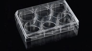 Expanded Range of Tissue Culture Treated Microplates