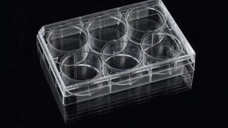 Expanded Range of Tissue Culture Treated Microplates
