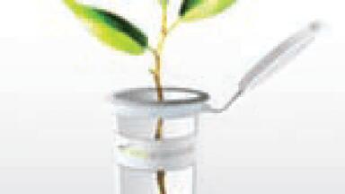 Get Fast Reproducible PCR Direct from Whole Plant Tissue