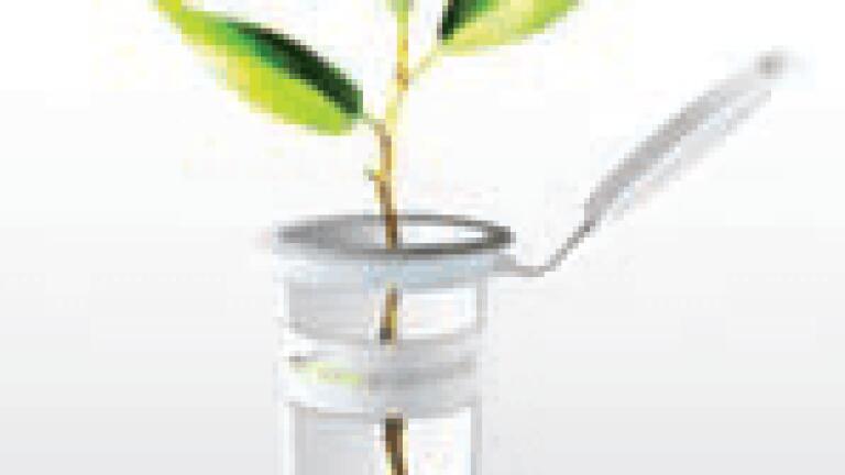 Get Fast Reproducible PCR Direct from Whole Plant Tissue