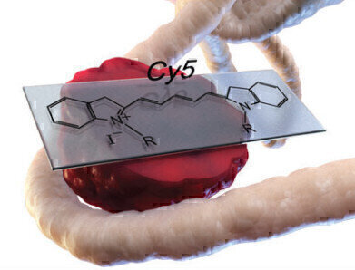 Custom Design Services Offer Custom Optimised Antibody Panels