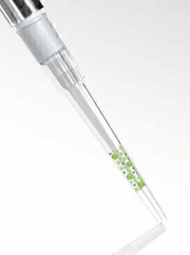 Fast Purification of Protein Samples