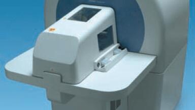 Body Composition of Rodents