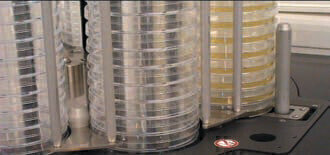 High Throughput Petri Dish Filling