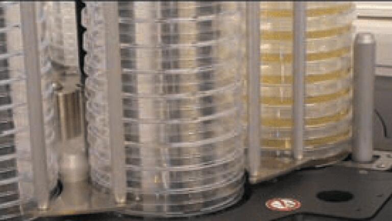 High Throughput Petri Dish Filling