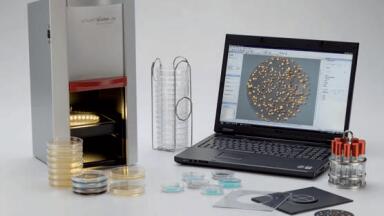 Relax While Counting Colonies