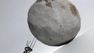 New Molecular Biology Transfection Reagents